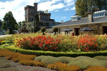 Larnach Castle Lodge Dunedin 145 Camp Road