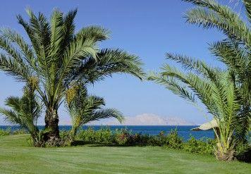 The Ritz-Carlton, Sharm El Sheikh