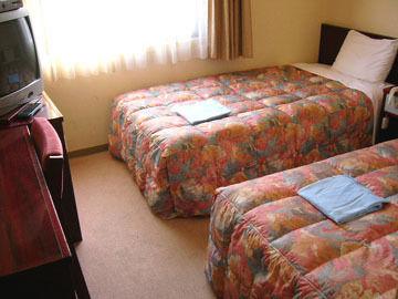 Hotel Sky Court Narita 161 Shinden Narita-Shi Chiba-Ken 287-0224