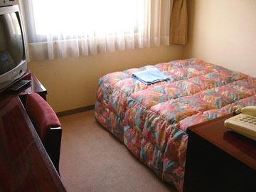 Hotel Sky Court Narita 161 Shinden Narita-Shi Chiba-Ken 287-0224