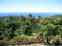 Mrs Robinson Cottage Rentals Roseau (Dominica) 58 Independence St