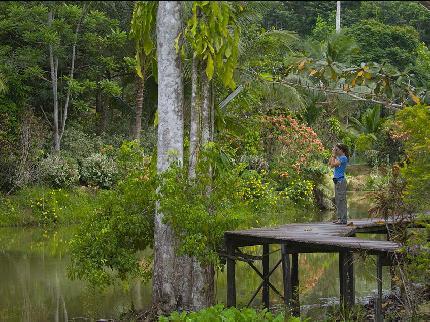 Sepilok Jungle Resort Sandakan KM22, Batu 14, Jalan Labuk Jalan Sepilok