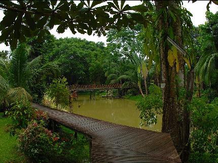 Sepilok Jungle Resort Sandakan KM22, Batu 14, Jalan Labuk Jalan Sepilok