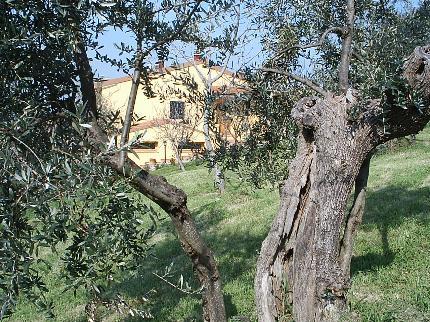 Agriturismo Il Gelso Santa Luce Via Citerna 8