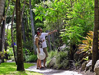 Mercure Treetops Resort Port Douglas 316 Port Douglas Road