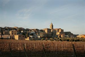 Vilar Rural d'Arnes Hotel Camí del Port , s/n