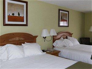 Holiday Inn Express Hotel & Suites Black River Fal W10170 Highway 54 E