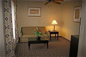 Holiday Inn Express Hotel & Suites Clinton (Missis 495 Springridge Rd.