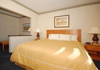 Comfort Suites University Las Cruces 2101 S. Triviz