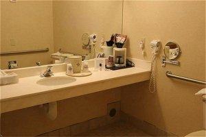 Holiday Inn Express Hotel & Suites Saginaw 2501 Tittabawassee Road