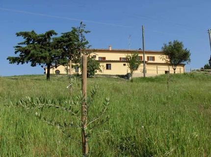 Agriturismo Villanovia Hotel Pomarance Podere Batazzone, Fraz. Mazzolla