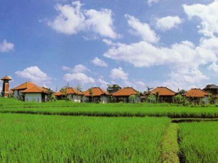 Villa Chempaka Bali Jalan Bisma, Ubud