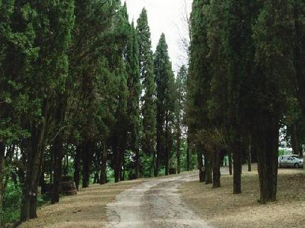 Vocabolo Palazzo Hotel Corciano Via Giovane Italia 4