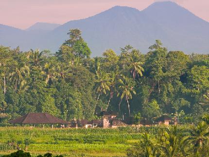 Bambu Indah Villa Bali Banjar Baung, Desa Sayan, Ubud PO.Box 3888