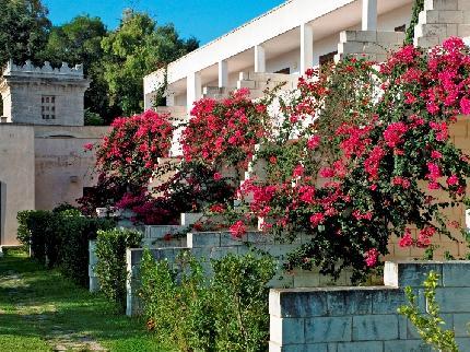 Masseria Bosco di Makyva Bed & Breakfast Melendugno Strada Comunale Bosco Coppola Frazione di Borgagne