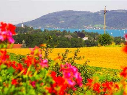 Alpenblick Hotel Attersee Abtsdorf 56