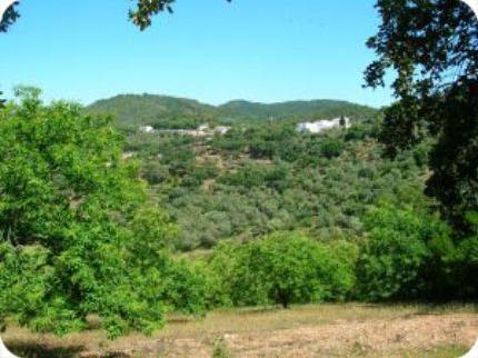 Complejo Los Veneros Hotel Santa Ana La Real Sierra de Aracena y Picos de Aroche