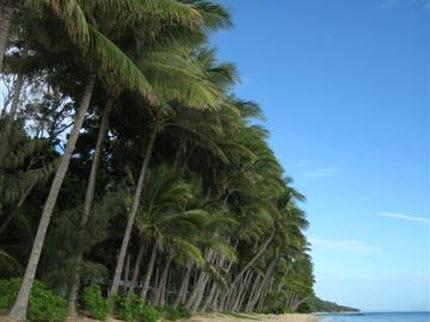 Ellis Beach Oceanfront Bungalows Cairns Captain Cook Highway Ellis Beach