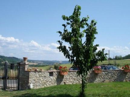 Pergolato di Sotto Bed & Breakfast San Casciano in Via Pergolato 4/M, Localita Bargino