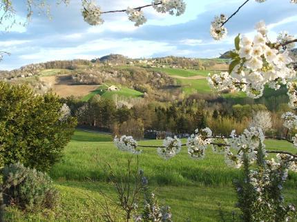 Bruna Bed & Breakfast Salsomaggiore Terme Via Tabiano, 26