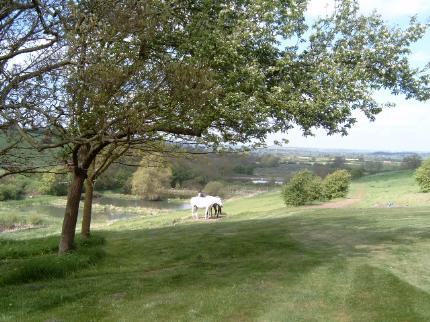 Church Hill Farm Bed & Breakfast Warwick Church Hill Farm, Lighthorne