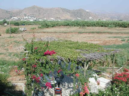 Villa Kelly Apartments Naxos Chora