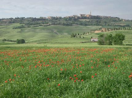 Agriturismo Il Colombaiolo Pienza Via Colombaiolo 12