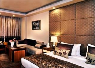 The Visaya Hotel New Delhi N 82 Panchshila Park