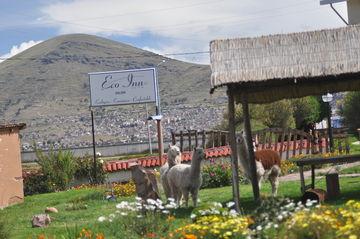 Eco Inn Puno Avenida Chulluni 195 Sector Huaje