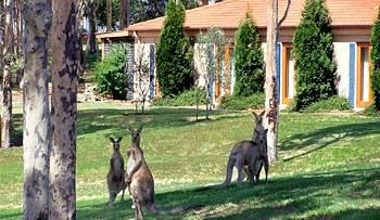 Tuscany Wine Estate Resort Pokolbin Corner Hermitage Road and Mistletoe Lane