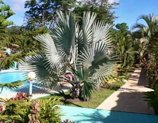 La Palmera Hotel Jaco 400 Metres E of Jaco Municipal