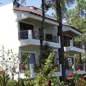 Kasaar Jungle Resort Almora Nr. Kasar Devi Temple Binsar Road