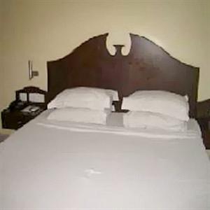 Hotel Emerald Park Chennai 1, First Main Road, Jayanagar Jayanagar