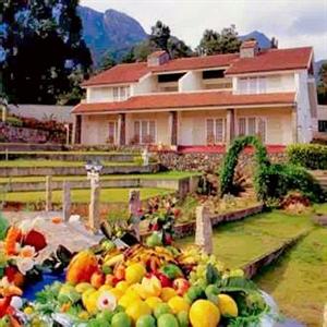 Siena Village Resort Munnar Chinnakanal