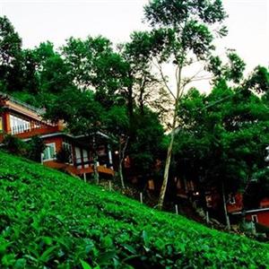 Tea Valley Resort Munnar Pothamedu