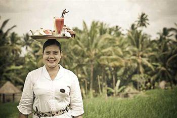 Waka di Ume Ubud Resort Bali Jalan Suweta Sambahan Village Ubud