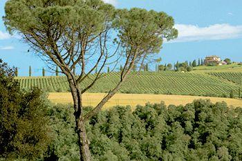 Relais Todini Hotel Todi Frazione Collevalenza