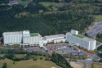 Royal Hotel Kirishima 2703-5 Kirishima-Taguchi Kirishima-City Kagoshima 899-4201 Japan