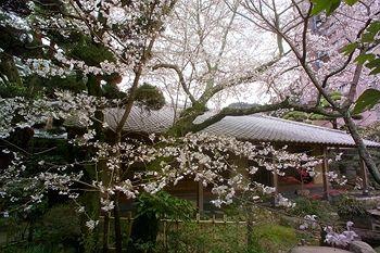 Tosen Goshobo Hotel Kobe Aza Takihata Arima-cho Kita-ku