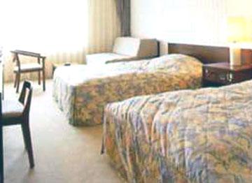 Hida Plaza Hotel Takayama 2-60 Hanaoka-Cho Takayama Gifu Japan