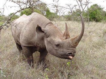 Sweetwaters Tented Camp Nanyuki Ol Pejeta Conservancy P.O. Box 48690