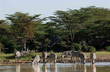 Sweetwaters Tented Camp Nanyuki Ol Pejeta Conservancy P.O. Box 48690