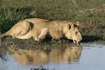 Sweetwaters Tented Camp Nanyuki Ol Pejeta Conservancy P.O. Box 48690