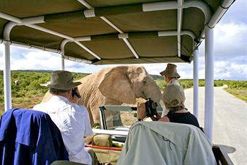 Hitgeheim Country Lodge & Eco Reserve Addo Off R336 Outside The Park