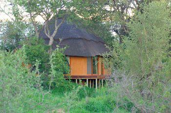 Royal Legend Safari Lodge Hoedspruit Timbivati Game Reserve