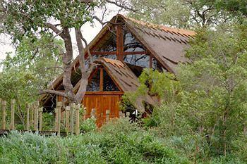 Royal Legend Safari Lodge Hoedspruit Timbivati Game Reserve