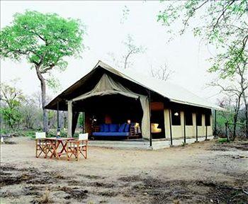 Honeyguide Tented Safari Camps Manyeleti Game Reserve Manyeleti Reserve Greater Kruger National Park