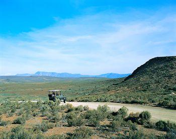 Sanbona Wildlife Reserve Hotel Montagu Die Vlakte Route 62