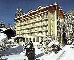 Wengener Hof Hotel Wengen Dorfstrasse