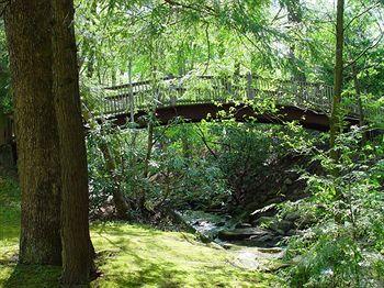 Sidney James Mountain Lodge Gatlinburg 610 Historic Nature Trail